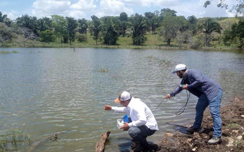 Evalúan áreas para cultivo de tilapia en Santa Ana, Petén