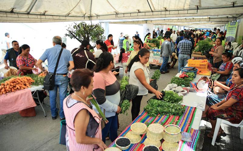 Feria del Agricultor favorece economía de las familias de Fraijanes