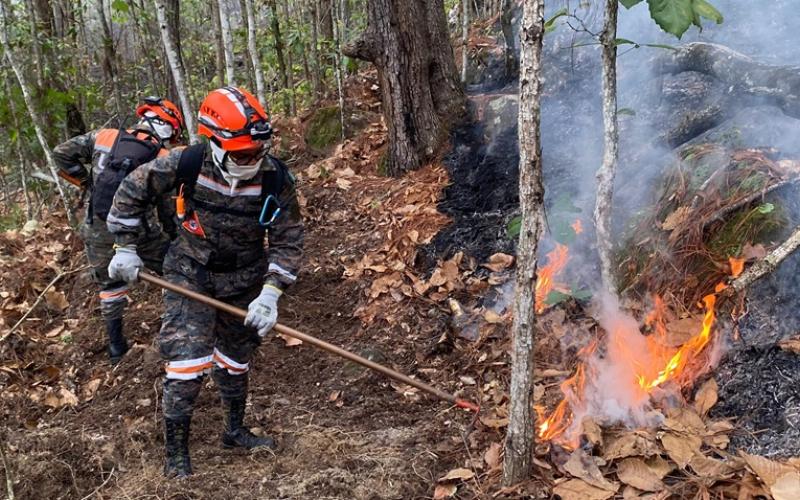 Ejército de Guatemala realiza tareas de supresión de incendios en Baja Verapaz y Quiché.