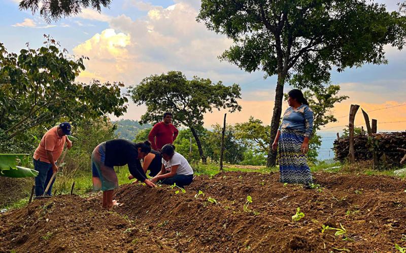 Huerto comunal fortalece la alimentación y el rol de las mujeres en la agricultura familiar
