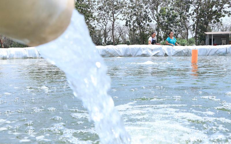 Impulsan acciones para el uso sostenible del agua