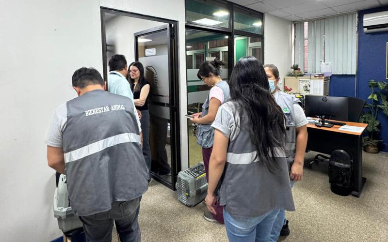 Jornada de esterilización felina en el Hospital General San Juan de Dios