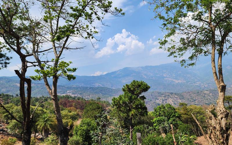 Las lluvias y las altas temperaturas persisten para la presente semana 