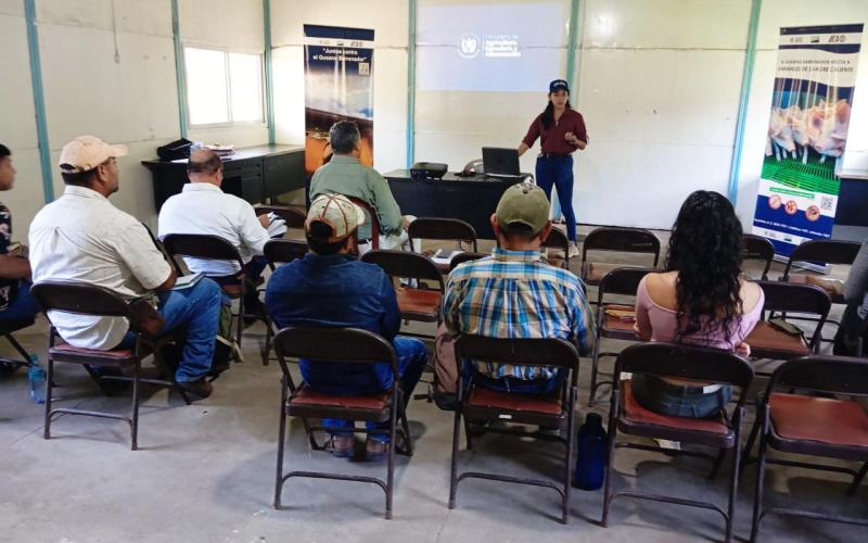Optimizan asistencia técnica para combatir el Gusano Barrenador del Ganado en Escuintla