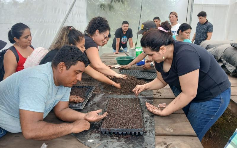 Productores de Retalhuleu aprenden cómo mejorar el rendimiento de cultivos de hortalizas