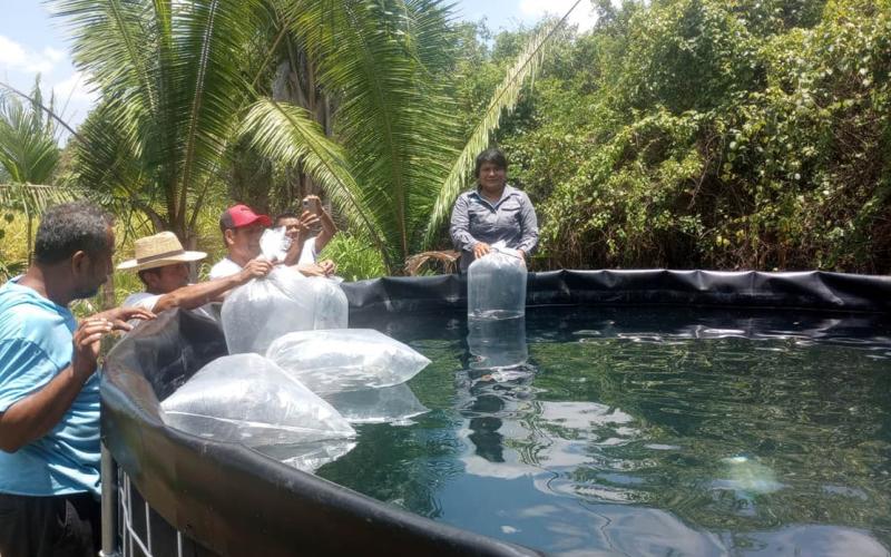 Se impulsa producción acuícola en Las Cruces