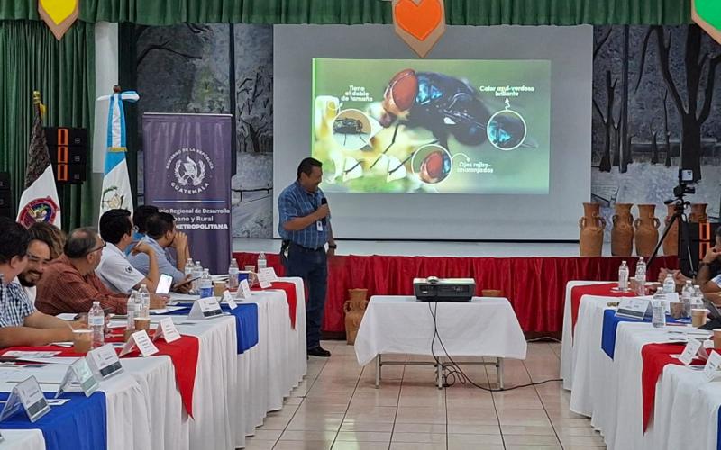 Socializan información preventiva del Gusano Barrenador del Ganado