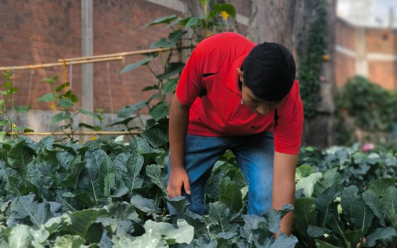 Remozamiento permite sembrar sueños en un huerto escolar