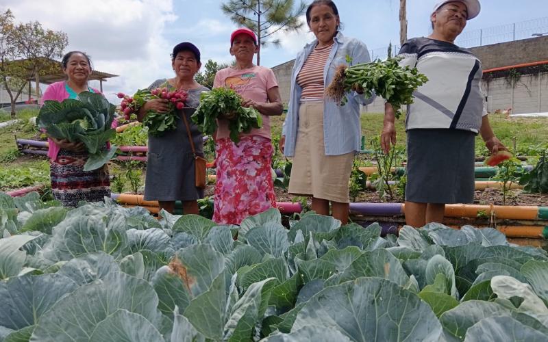 AGROVIDA en acción: mujeres cultivan, venden y ahorran para un mejor mañana
