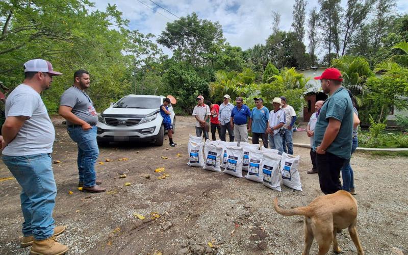 Agricultores de El Progreso reciben semillas de maíz de alto rendimiento 
