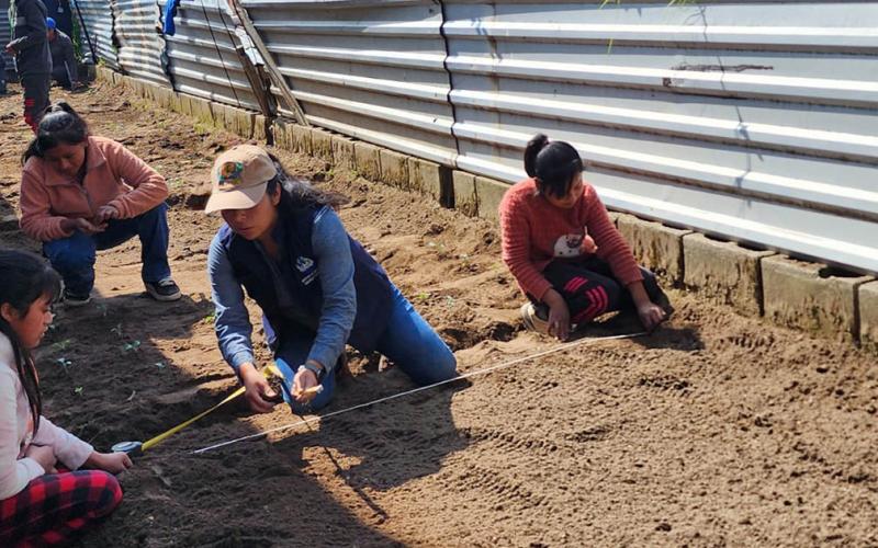 Alumnos de Totonicapán aprenden de agricultura en huerto escolar
