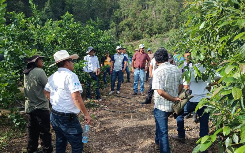 Avanza programa de capacitación para fortalecer la agricultura familiar