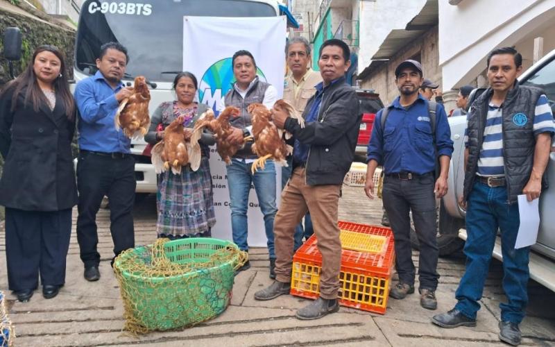 Beneficiarios del CADER reciben gallinas ponedoras