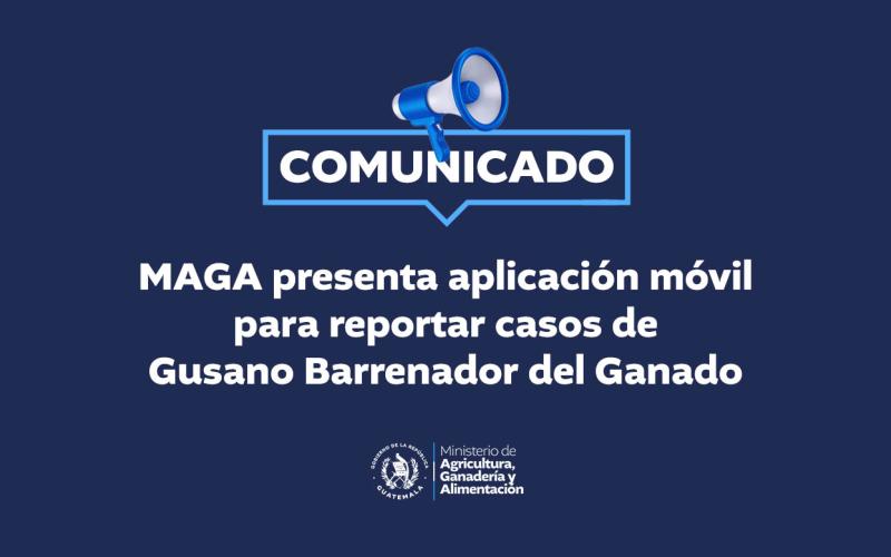 MAGA presenta aplicación móvil para reportar casos de Gusano Barrenador del Ganado
