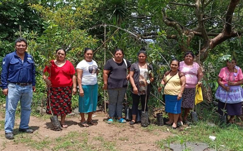 Entregan plantas frutales de guanaba en Villa Canales para diversificación agrícola
