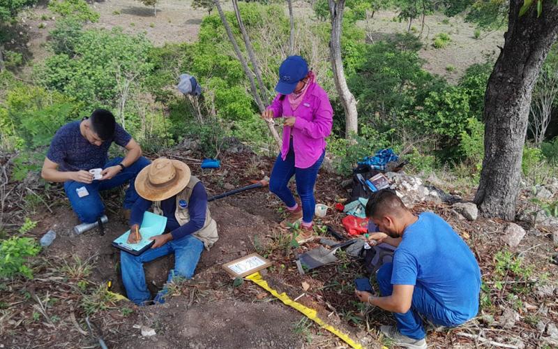 Estudios de suelos contribuyen a mejorar la producción agrícola