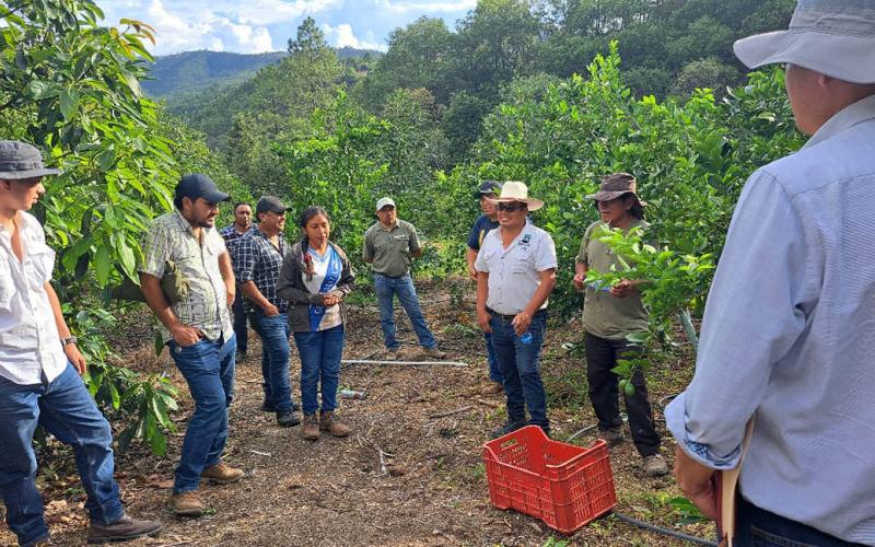 Extensionistas fortalecen capacidades en agricultura familiar