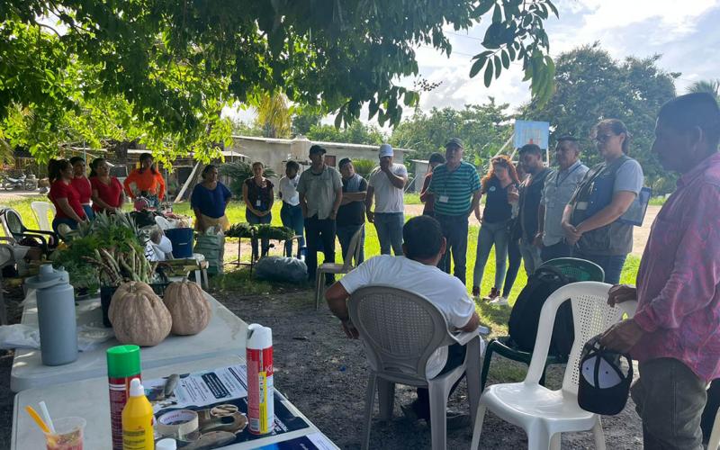 Feria del Agricultor en Izabal impulsa la producción local y la sanidad animal