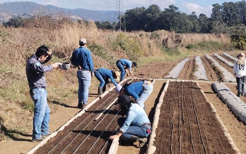 Formando a futuros profesionales de la agricultura en jornadas prácticas