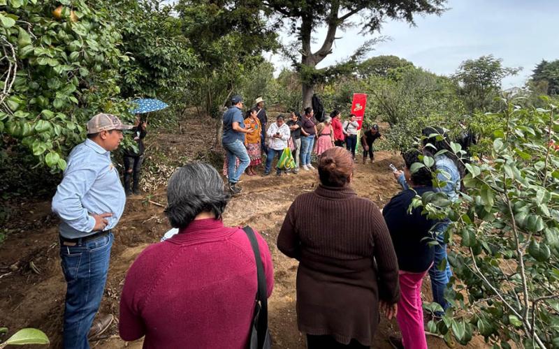 Fortalecen los sistemas productivos de maíz en Sacatepéquez 