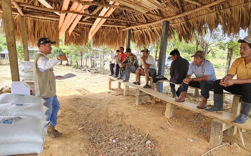 Fortalecen seguridad alimentaria en comunidades de Dolores