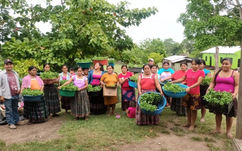 Huertos familiares fortalecen seguridad alimentaria de comunidades en la zona de adyacencia