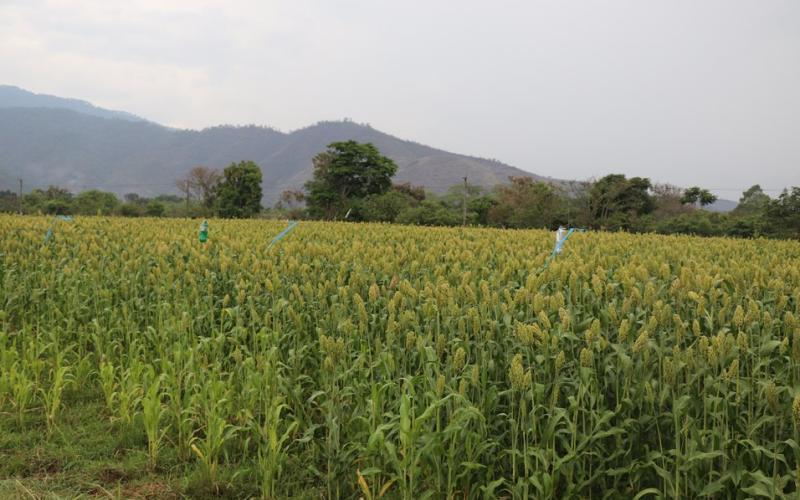 Guatemala fortalece la relación entre el espacio y la agricultura a través de colaboración con Jaguar Space 