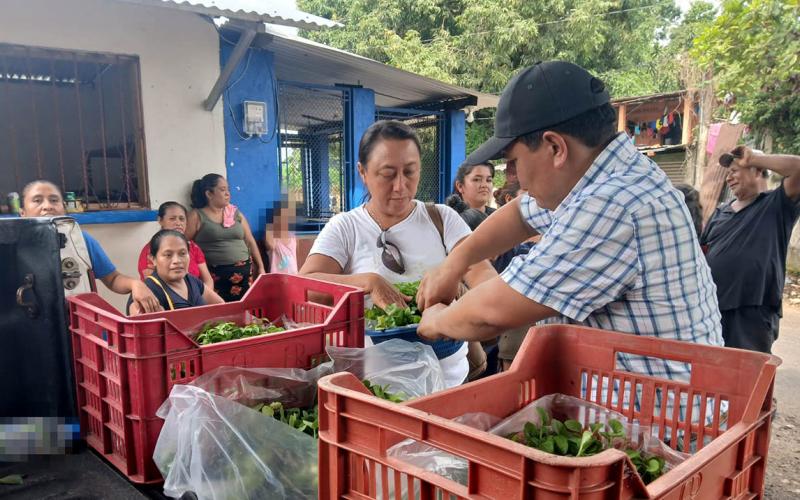 Implementan huertos familiares en Pajapita