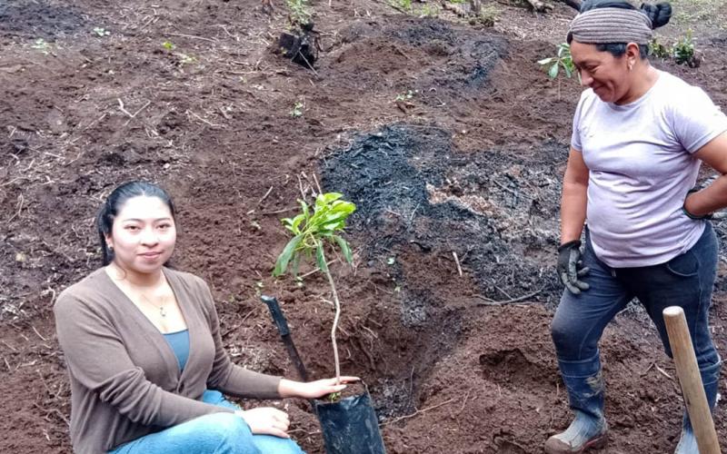 Impulsan agricultura sostenible para conservar el agua y suelo en Sacatepéquez