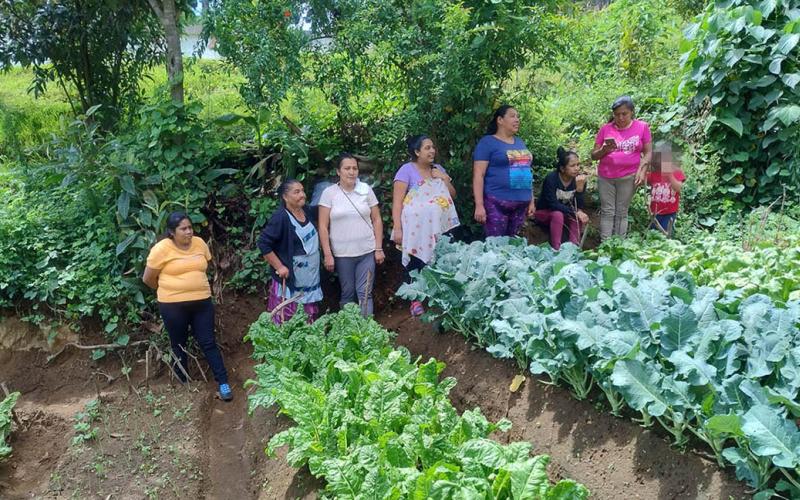 Impulsan diversificación de cultivos y producción agrícola en Sacatepéquez