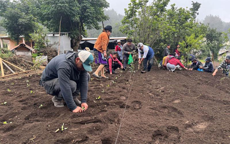 Impulsan el desarrollo agrícola y rural en Sacatepéquez
