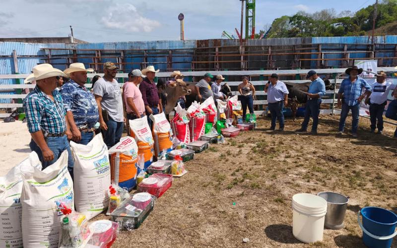Impulsan mejoramiento genético del hato bovino en Petén 