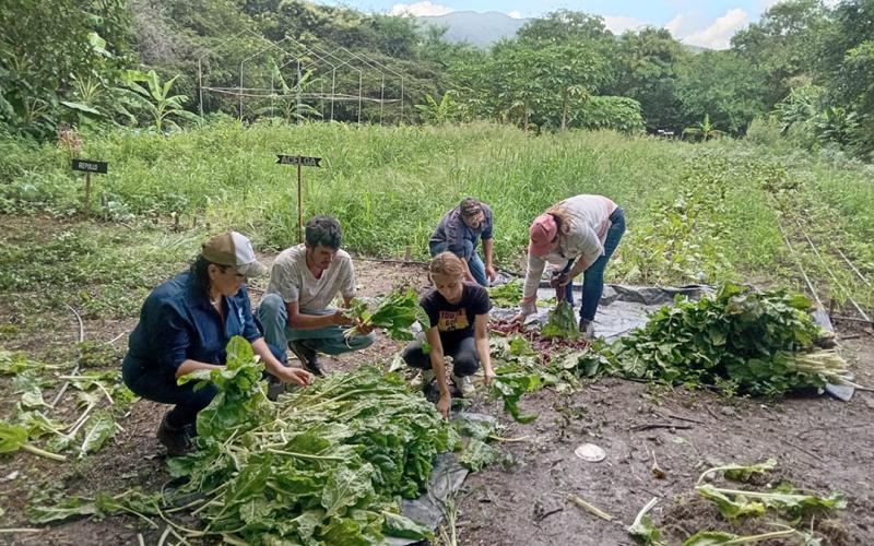 Agricultura y educación impulsan desarrollo del pueblo digno en El Progreso