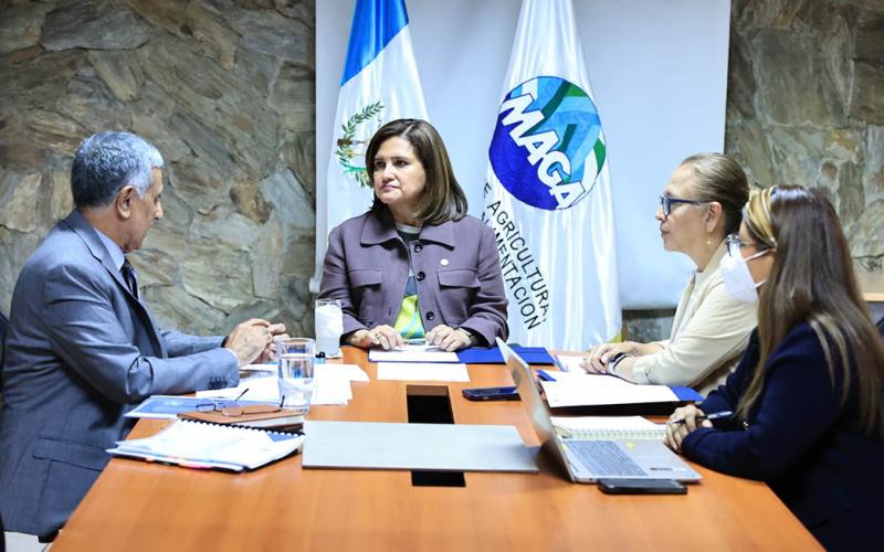 Presidenta en funciones da seguimiento a las acciones prioritarias en seguridad alimentaria y nutricional