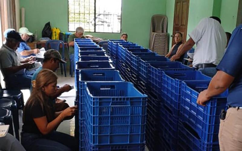 Productores de la Costa Sur reciben insumos y capacitación