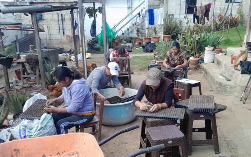 Promoviendo la producción sostenible en Quetzaltenango