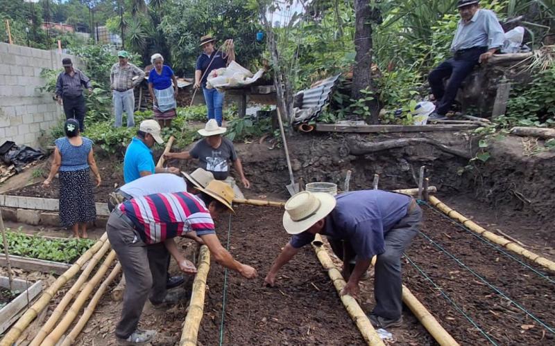 Promueven la producción de hortalizas y cultivos en San Pedro Ayampuc