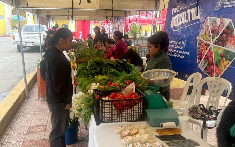 Verduras y frutas frescas a precios accesibles en Feria del Agricultor