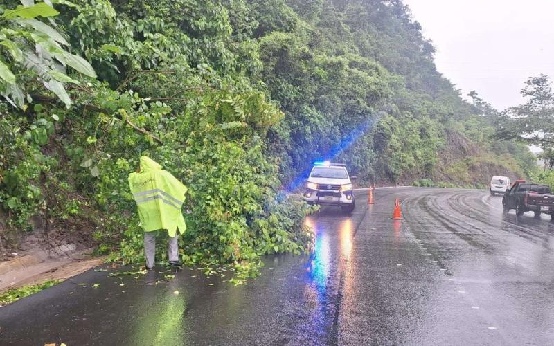 Ni la caída de árboles o rocas detienen a Provial: brigadas asisten emergencia en Jutiapa