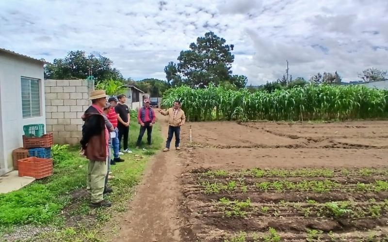 En Chimaltenango impulsan agricultura orientada al mercado con capacitación SHEP