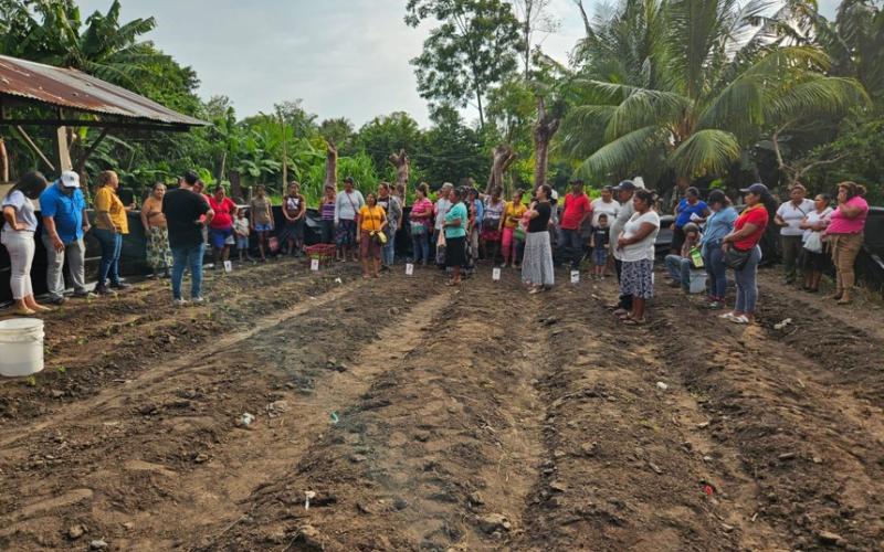Familias agricultoras de Masagua reciben pilones para impulsar huertos comunitarios