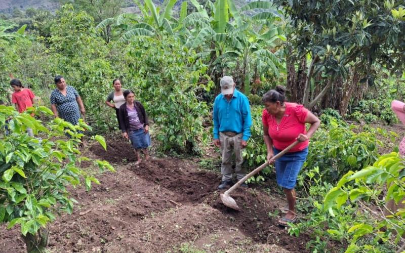 Huerto comunal fortalece a familias agricultoras de Jalapa