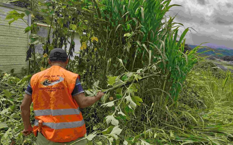 La DGAC reafirma así su compromiso con la seguridad operacional, implementando acciones preventivas que integran el mantenimiento de áreas verdes 