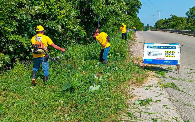 COVIAL trabaja en la limpieza y mantenimiento de la RN-24 en Petén