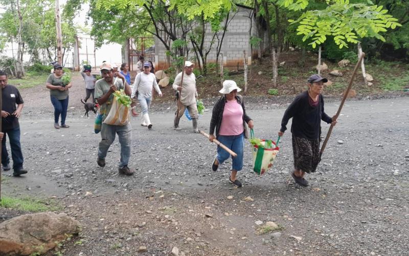 Actividades de reforestación fortalecen seguridad alimentaria y resguardo ambiental