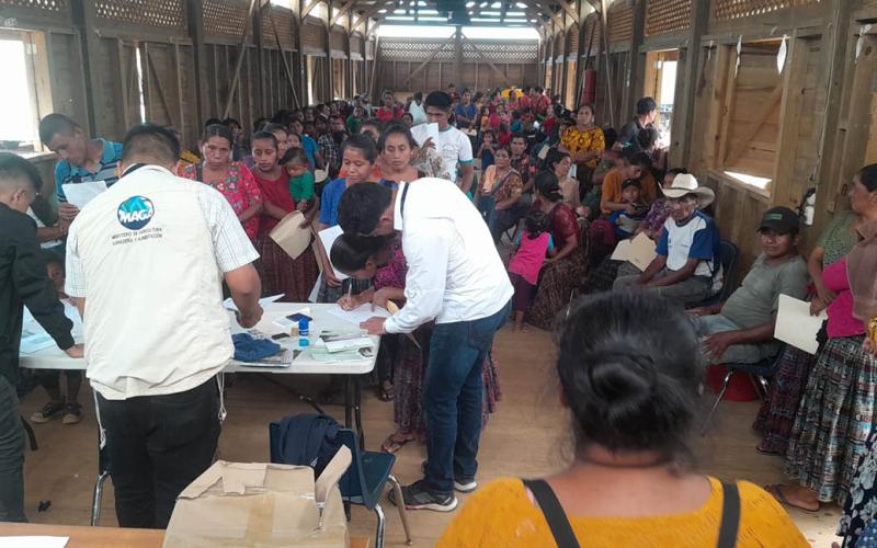 Agricultores de San Pedro Carchá reciben semillas de maíz mejoradas 