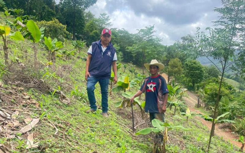 Agricultores reciben asistencia técnica para mejorar cultivos de maíz
