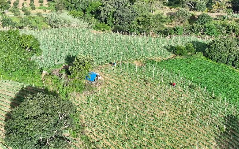 Ante disminución de lluvias se monitorean 181 municipios