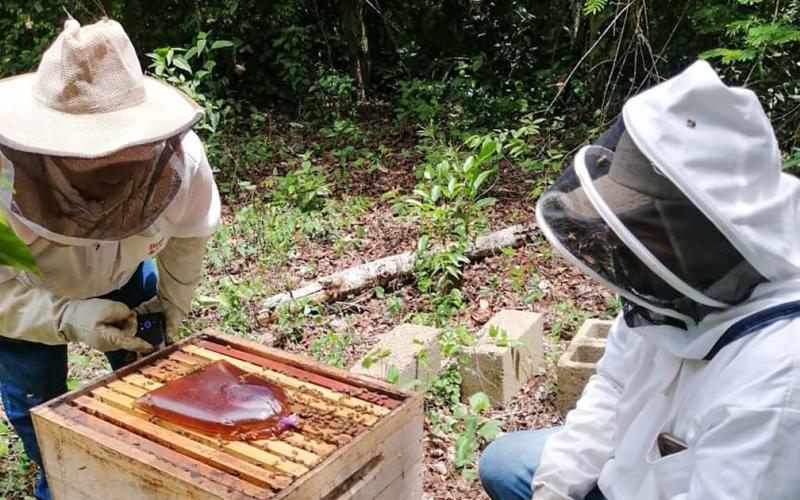 Apicultores reciben asistencia técnica para enfrentar temporada de escasez