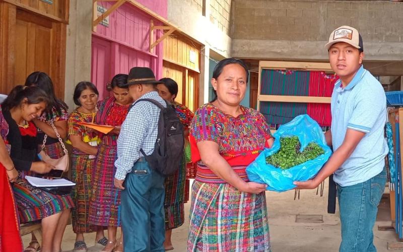 Beneficiarios de los CADER de Quiché reciben pilones de hortalizas